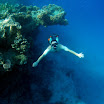 PB201586-1.JPG