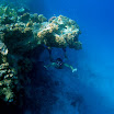 PB201582-1.JPG