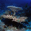 PB201603-1.JPG