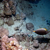 PB201615-1.JPG