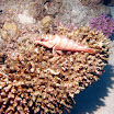 PB201622-1.JPG