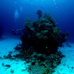 PB201625-1.JPG