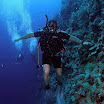PB211668-1.JPG