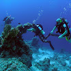 PB211691-1.JPG