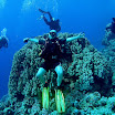 PB211706-1.JPG