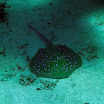 PB211710-1.JPG