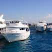 IMG_2786.JPG