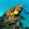 PB242024-1.JPG