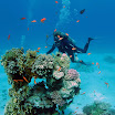 PB242042-1.JPG