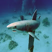 PB242028-1.JPG