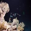 PB211776-h3.jpg