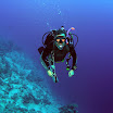 PB221793-1.JPG