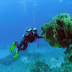 PB221816-1.JPG