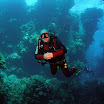 PB221844-1.JPG