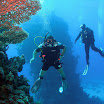 PB221846-1.JPG