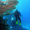 PB221847-1.JPG