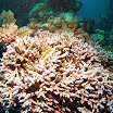 PB221862-1.JPG