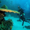 PB221865-1.JPG