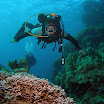 PB221869-1.JPG