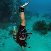 PB221872-1.JPG