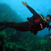 PB221873-1.JPG