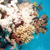 PB221879-1.JPG