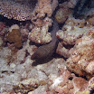 PB221880-1.JPG