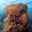 PB221883-1.JPG