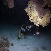 PB221896-1.JPG