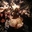 PB221899.JPG