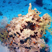 PB231908-1.JPG