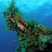 PB231912-1.JPG