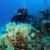 PB231934-1.JPG