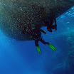 PB232012-1.JPG
