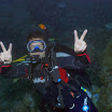 DSC_0398-t.JPG