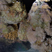 DSC_0561-t.JPG