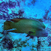 PB201481-t.JPG