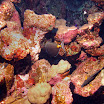 PB201508-t.JPG