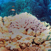 PB201507-t.JPG