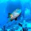 PB201521-t.JPG