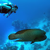 PB201522-t.JPG