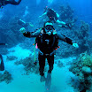 PB201520-t.JPG