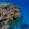 PB201565-t.JPG