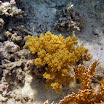 PB201561-t.JPG