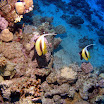 PB201610-t.JPG