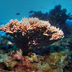 PB201617-t.JPG