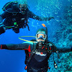 PB211677-t.JPG