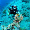 PB211689-t.JPG