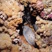 PB211779-t.JPG