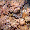 PB211778-t.JPG